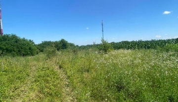 Intravilan,Loc.Petea a1750