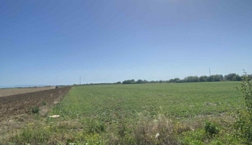 Teren Intravilan,Zona Padurea Noroieni a2124
