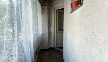 11a2389.jpg