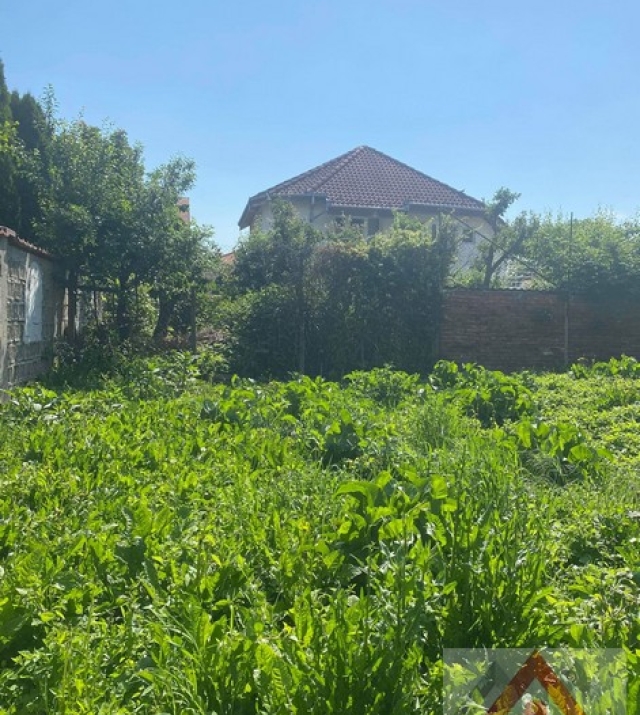 568-CasaCrisului11.JPG