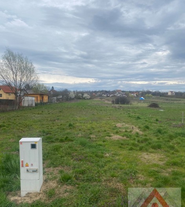 a1270-IntravilanViileSatuMare01.JPG