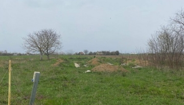 a1284-IntravilanBaltaBlonda05.JPG