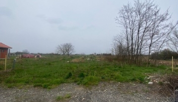 a1284-IntravilanBaltaBlonda06.JPG
