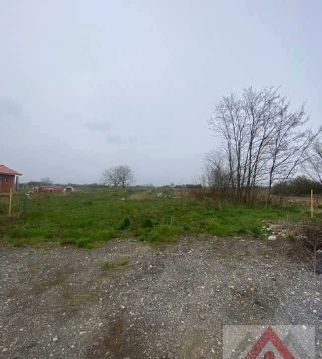 a1284-IntravilanBaltaBlonda06.JPG