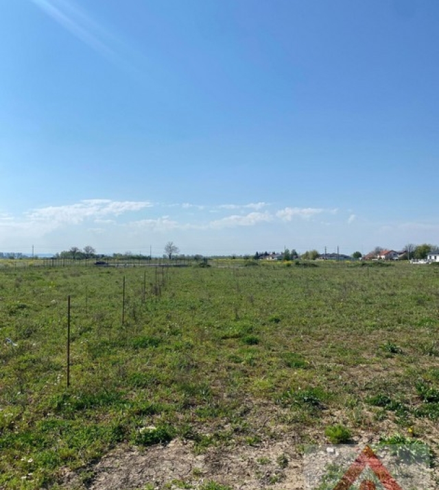 a1295-IntravilanMartinesti03.JPG