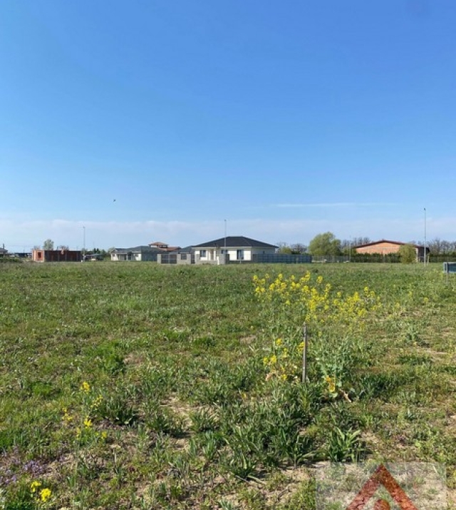 a1295-IntravilanMartinesti04.JPG