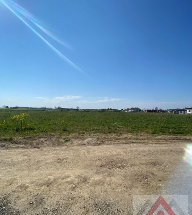 a1295-IntravilanMartinesti05.JPG