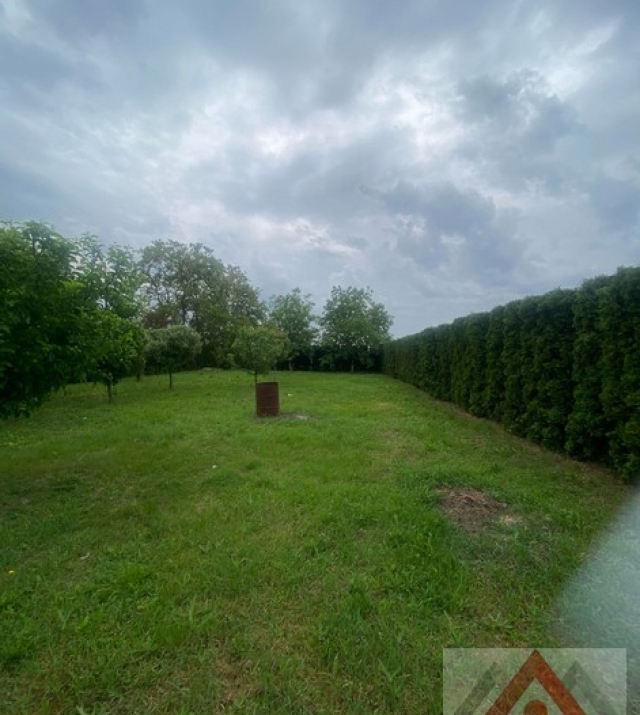 a1344-CasaMartinesti41.JPG