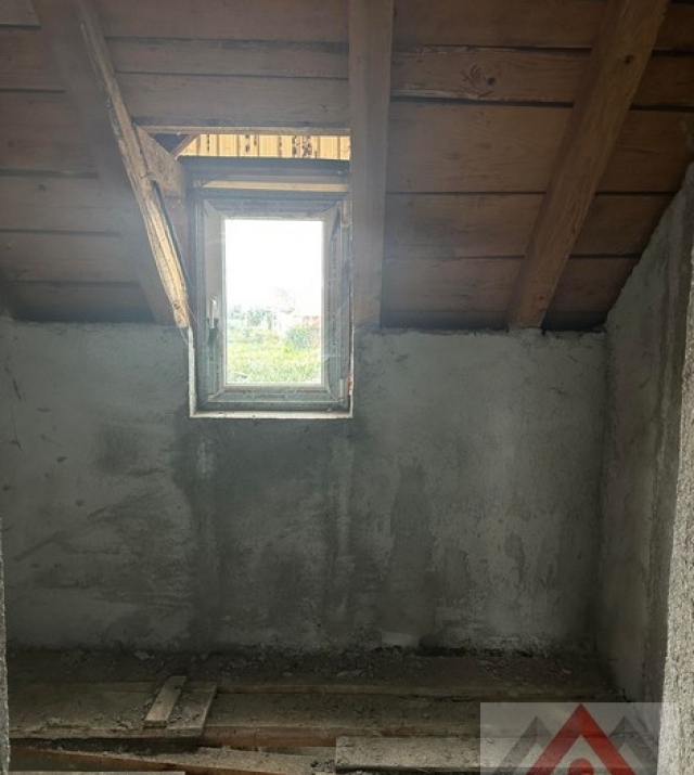 a1436-CasaPaulestiBrandusei02.JPG
