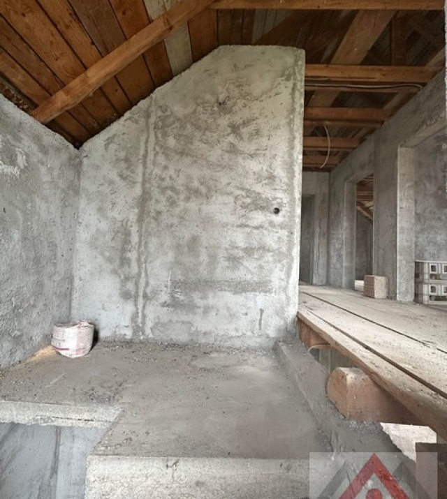 a1436-CasaPaulestiBrandusei04.JPG