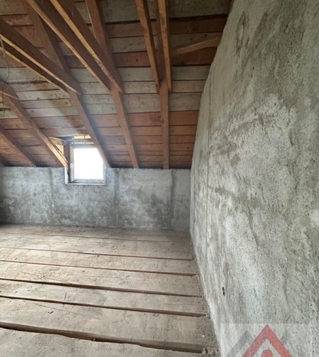 a1436-CasaPaulestiBrandusei05.JPG