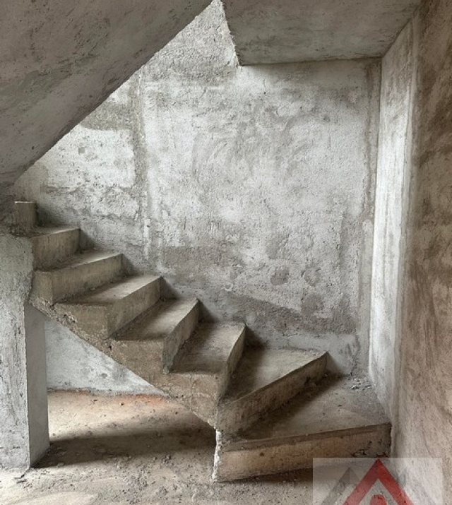 a1436-CasaPaulestiBrandusei07.JPG