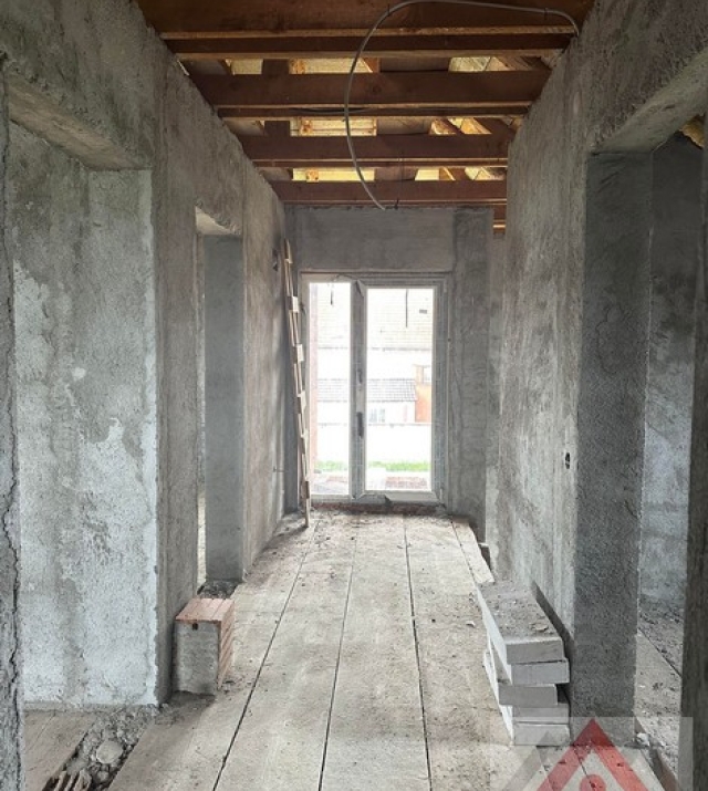 a1436-CasaPaulestiBrandusei08.JPG