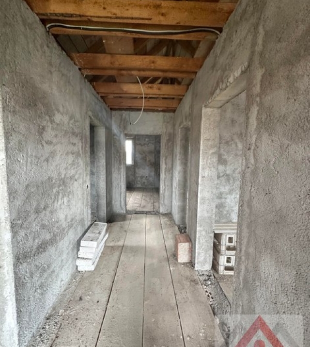 a1436-CasaPaulestiBrandusei09.JPG