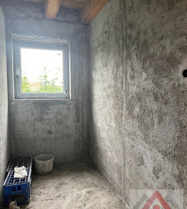 a1436-CasaPaulestiBrandusei10.JPG