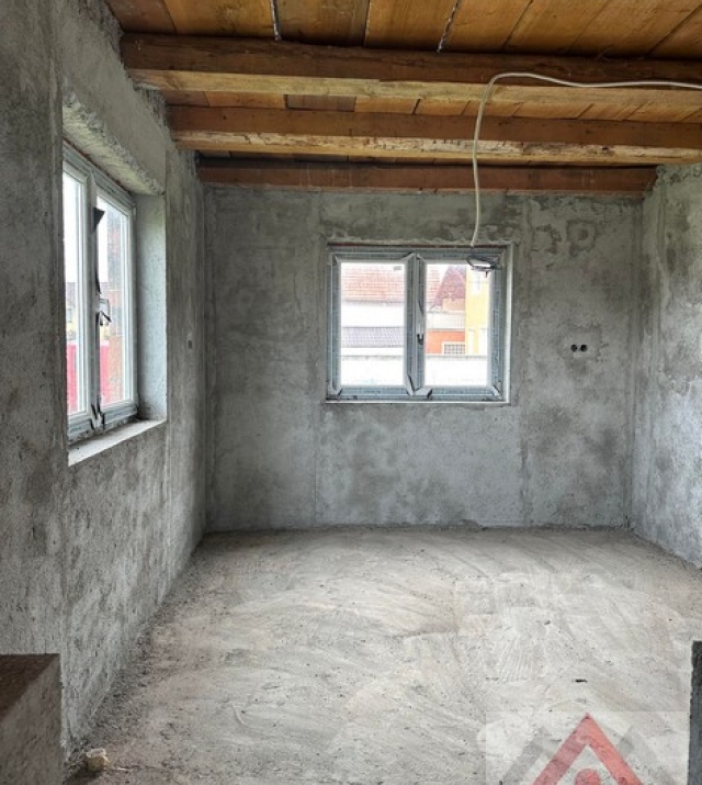 a1436-CasaPaulestiBrandusei11.JPG