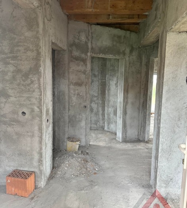 a1436-CasaPaulestiBrandusei12.JPG