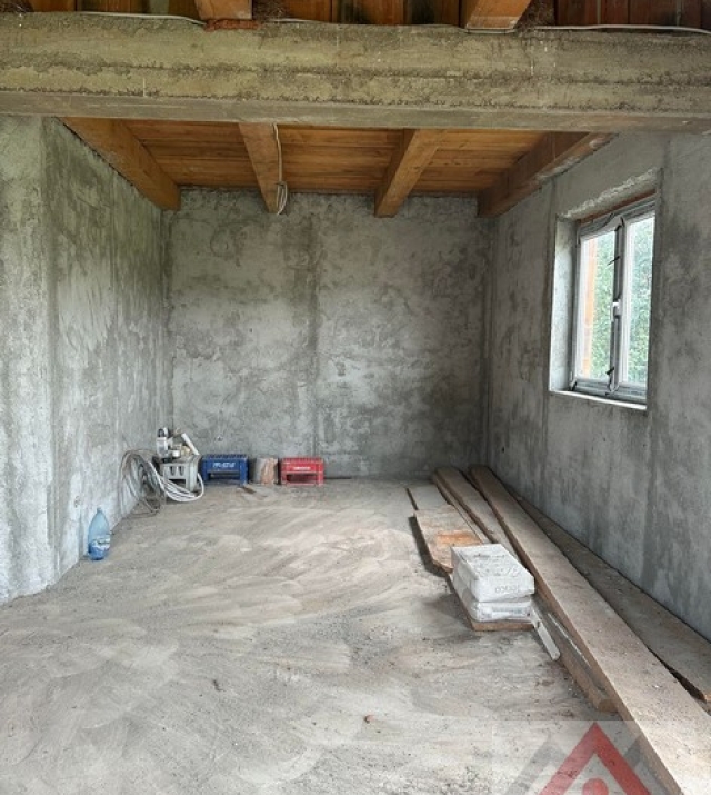 a1436-CasaPaulestiBrandusei13.JPG