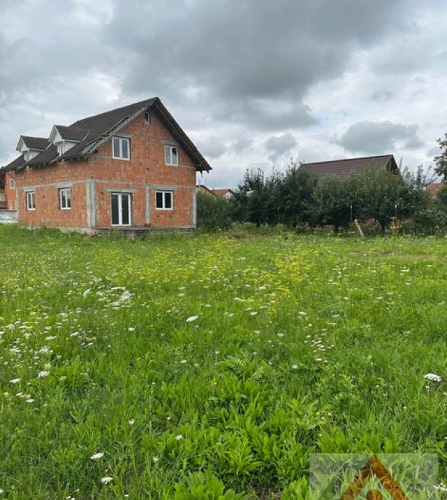 a1436-CasaPaulestiBrandusei17.JPG